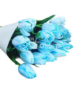 Голубые тюльпаны. Горячее предложение весны! Небесно-голубые тюльпаны только в Ростове-на-Дону! В наличии до 10 марта включительно